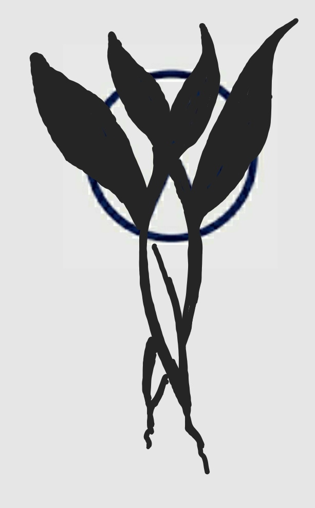 VW Vandragora Logo Sketch